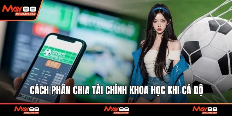 Cách phân chia tài chính khoa học khi cá độ