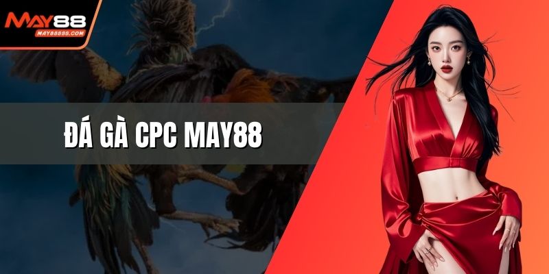 Đá gà CPC May88