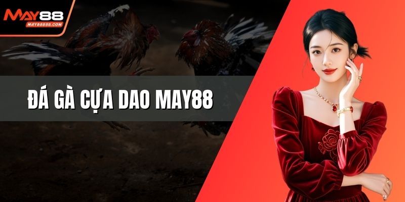 Đá gà cựa dao May88
