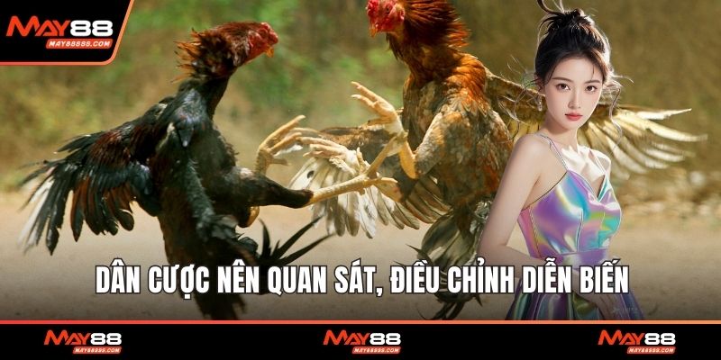 Dân cược nên quan sát, điều chỉnh diễn biến