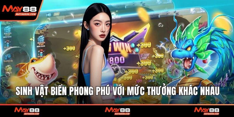 Sinh vật biển phong phú với mức thưởng khác nhau