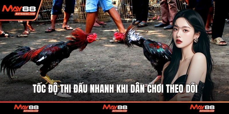 Tốc độ thi đấu nhanh khi dân chơi theo dõi